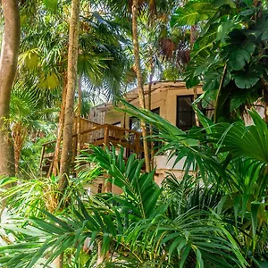 *** Hotel Casa Ambar & Boutique (adults Only) México